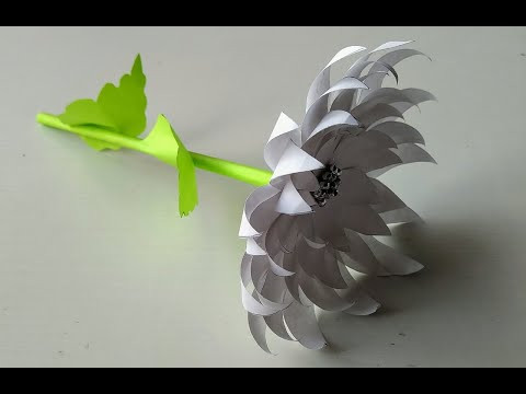 Акция Белый цветок Акция Белый цветок