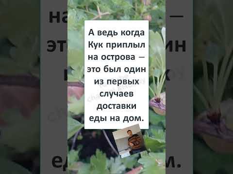 #смех #прикол #анекдоты #юмор #shortvideo #shorts #memes #ДОСТАВКА ЕДЫ #смех #прикол #анекдоты #юмор #shortvideo #shorts #memes #ДОСТАВКА ЕДЫ