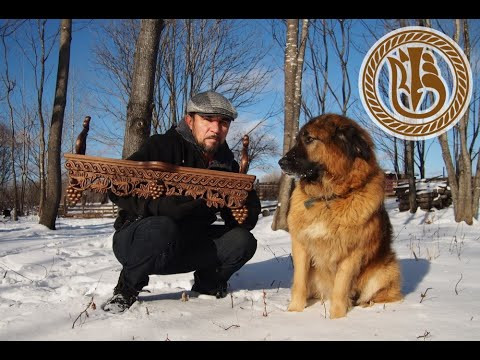 Woodcarving, Фотосессия