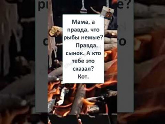 #юмор #смех #анекдоты #funny #fun #memes #В ЭТОЙ СЕМЬЕ -  ВСЕ УМНЫЕ! 