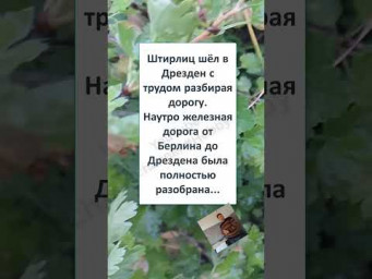 #смех #юмор #прикол #А ВЕДЬ ШТИРЛИЦ ЗАКОНЧИЛ ЖД ТЕХНАРЬ с ПОЧЁТНОЙ ГРАМОТОЙ