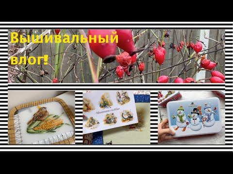 358. Финишы и продвижения, бомбит от книги!