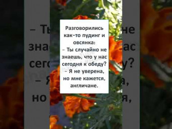 #шутки #юмор #смешно #ржач #СЭР, что ВАМ ПОДАТЬ к ОБЕДУ 