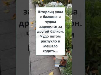 #юмор #смех #анекдоты #funny #ШТИРЛИЦ ПРЕКРАСНЫЙ КАСКАДЁР 