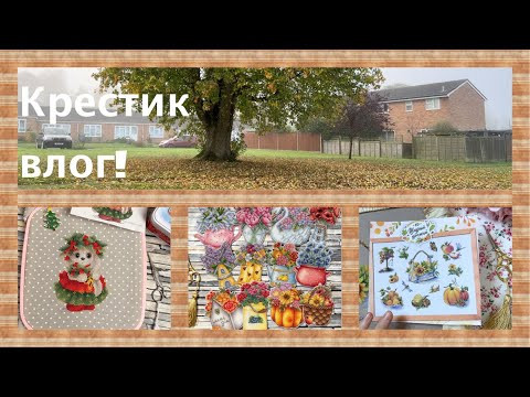 356. Продвижения, готовые работы, книги, разбили машину! 356. Продвижения, готовые работы, книги, разбили машину!