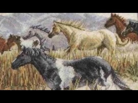 Обзор набора Bucilla 43973 &ldquo;Band of thunder&rdquo;/ Мои мучения в разборе ниток