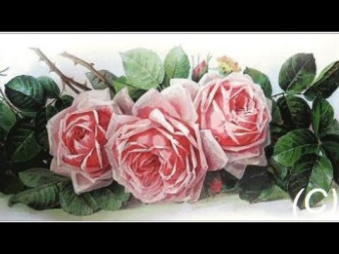 Ротация 5 на 5/ Что вышилось за это время #вишивка #вышивкакрестиком #александрстич Ротация 5 на 5/ Что вышилось за это время #вишивка #вышивкакрестиком #александрстич