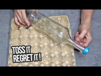 I took a bottle, an egg tray, and did something incredible! You won't throw them away anymore!