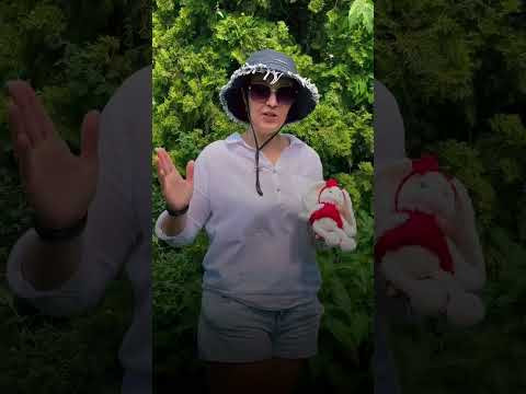 видео о ярмарке https://boosty.to/amigurumi-life/posts/16ab41ec-6c25-4245-b1f9-61d7fd705775 #игрушки видео о ярмарке https://boosty.to/amigurumi-life/posts/16ab41ec-6c25-4245-b1f9-61d7fd705775 #игрушки