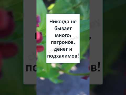 #смех #юмор #прикол #НИКОГДА не БЫВАЕТ МНОГО ??? #смех #юмор #прикол #НИКОГДА не БЫВАЕТ МНОГО ???