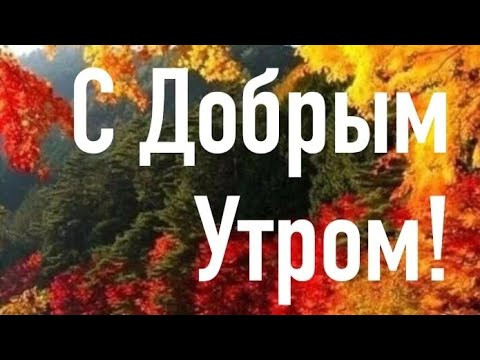 С добрым утром! Хорошего дня!