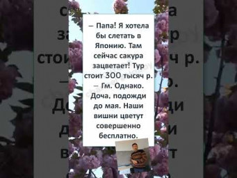 #мем#смехпродлеваетжизнь#прикол#смешновидео#смех#юмор#рек#ржака #ХОЧУ САКУРУ и СРОЧНО!  