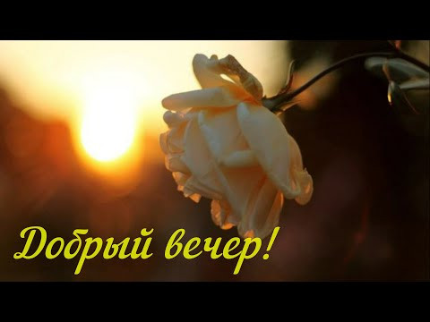 Прекрасного Вам Вечера в этот Весенний Добрый Вечер! Пусть Вечер подарит только Радость! Прекрасного Вам Вечера в этот Весенний Добрый Вечер! Пусть Вечер подарит только Радость!