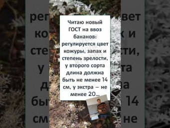 #юмор #прикол #шуточное #НОВЫЙ ГОСТ БАНАНОВ 