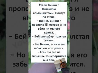 #смешной#shortsvideo #ВИННИ с ПЯТАЧКОМ СТАЛИ АЛЬПИНИСТАМИ 