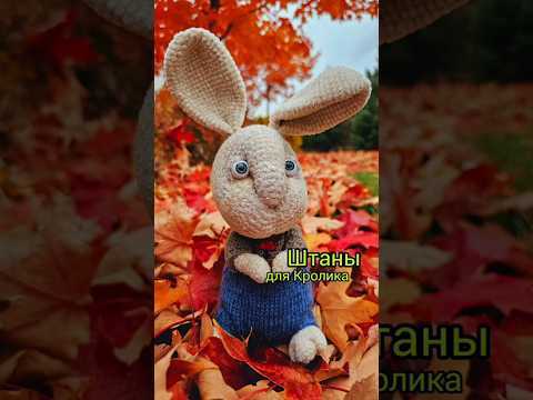 НОВЫЕ ШТАНЫ ДЛЯ КРОЛИКА САНЬКИ. 1Я ИСТОРИЯ.