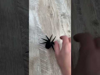 Origami Halloween | Paper Spider 