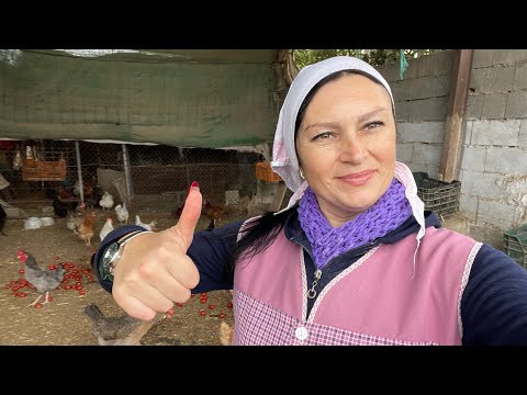 VLOG: РАСПРОДАЁМ ХОЗЯЙСТВО,а покупатель на всех кричит! VLOG: РАСПРОДАЁМ ХОЗЯЙСТВО,а покупатель на всех кричит!