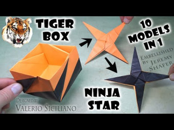 Origami Tiger Box 