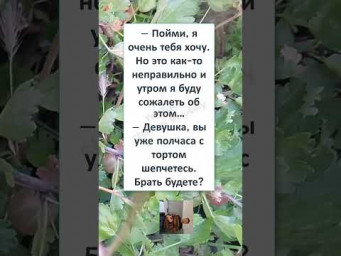 #юмор #смех #анекдоты #funny #КОГДА ДЕВУШКА ХОЧЕТ...