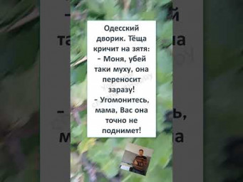 #шуткадня #смех #funny #humor #jokes #memes #жиза #прикол #ОДЕССКИЙ ДВОРИК 