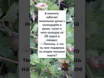 #юмор #смех #анекдоты #funny #fun #АНЕКДОТ про 8 МАРТА! 