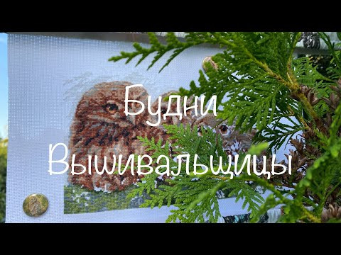 #367. Будни Вышивальщицы 10-20.08.23/Совята Палитра, Teresa Wentzler, Риолис и Жар птица