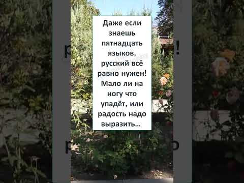 #шутки #юмор #смешно #ржач #АНЕКДОТ про РУССКИЙ ЯЗЫК #шутки #юмор #смешно #ржач #АНЕКДОТ про РУССКИЙ ЯЗЫК