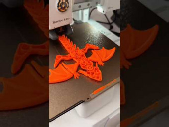 3D Printing Dragon 
