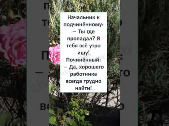 #юмор #шутки #смешно #анекдоты #ТАК КАЖДОЕ УТРО, КРУГЛЫЙ ГОД и ВСЮ ЖИЗНЬ! 