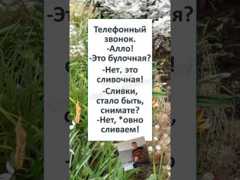 #смешной#shortsvideo #АЛЛО, ЭТО БУЛОЧНАЯ? 