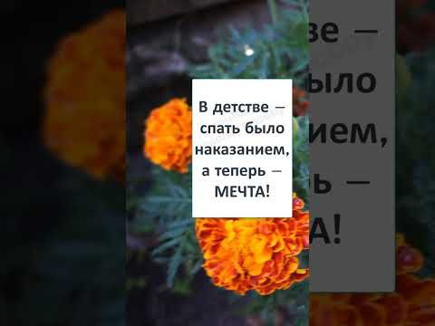 #шутки #юмор #мемы #смешно #смешнявки #смех #смешныемемы #приколы #Ах ДЕТСТВО, ГДЕ ТЫ? #шутки #юмор #мемы #смешно #смешнявки #смех #смешныемемы #приколы #Ах ДЕТСТВО, ГДЕ ТЫ?